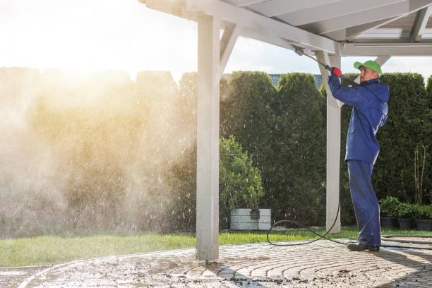 Best Sidewalk and Walkway Cleaning  in Estill, SC